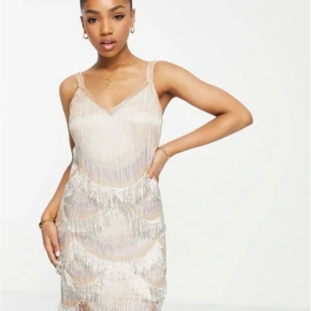 Elegant Silver Fringe Dress
